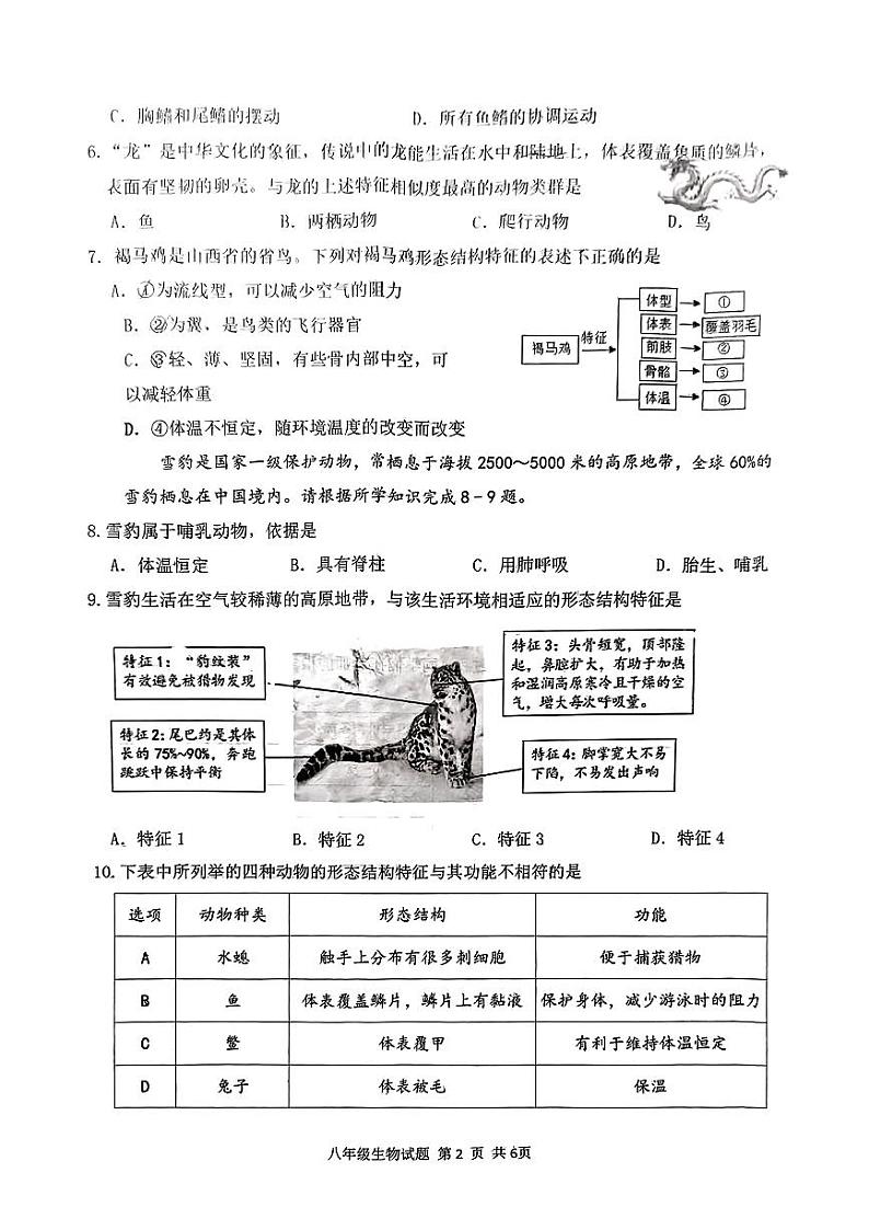 八年级生物(人教版)测试题(期中)第2页
