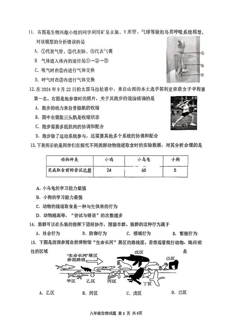 八年级生物(人教版)测试题(期中)第3页