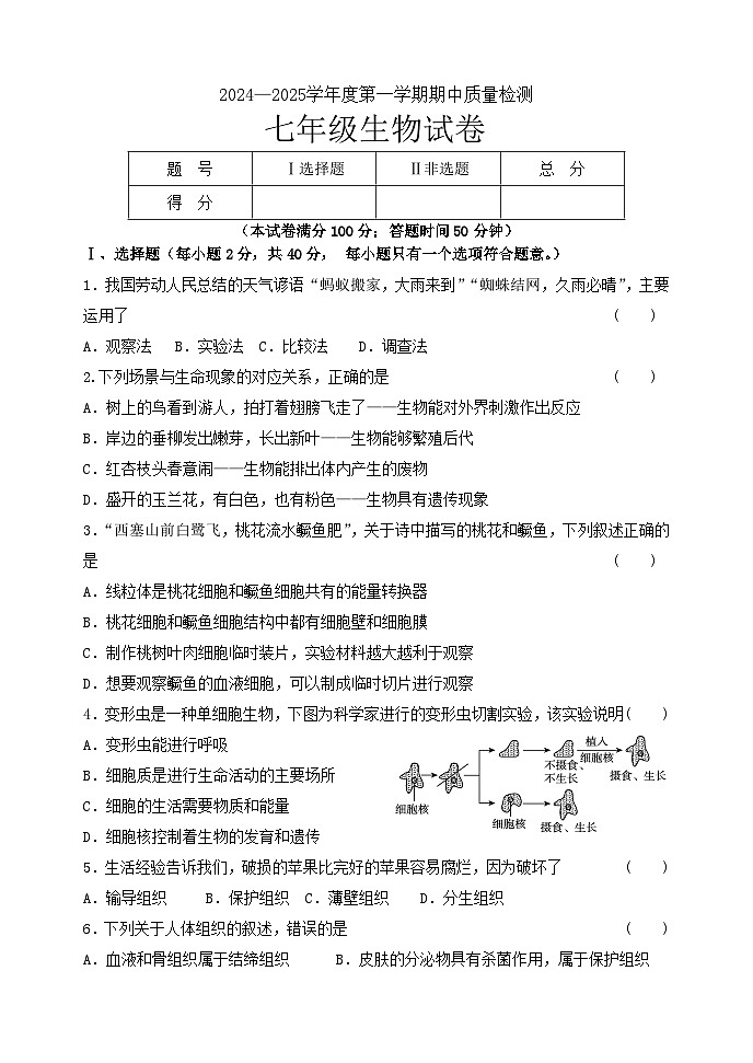 黑山县2024-2025学年七年级上学期期中质量检测生物试卷第1页