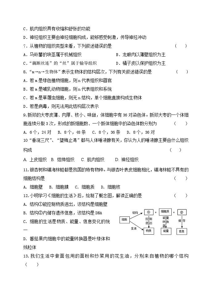 黑山县2024-2025学年七年级上学期期中质量检测生物试卷第2页