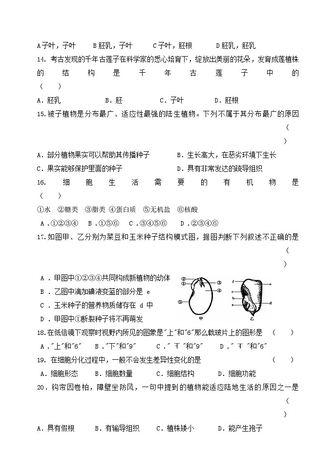 黑山县2024-2025学年七年级上学期期中质量检测生物试卷第3页