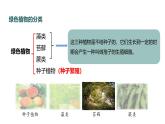 初中  生物  人教版（2024）  七年级上册（2024）  第二单元 多种多样的生物  第一章 植物的类群  第一节 藻类、 苔藓和蕨类 课件