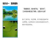 初中  生物  人教版（2024）  七年级上册（2024）  第二单元 多种多样的生物  第一章 植物的类群  第一节 藻类、 苔藓和蕨类 课件