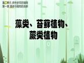 初中  生物  人教版（2024）  七年级上册（2024）  第二单元 多种多样的生物  第一章 植物的类群  第一节 藻类、 苔藓和蕨类 课件
