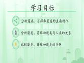 初中  生物  人教版（2024）  七年级上册（2024）  第二单元 多种多样的生物  第一章 植物的类群  第一节 藻类、 苔藓和蕨类 课件