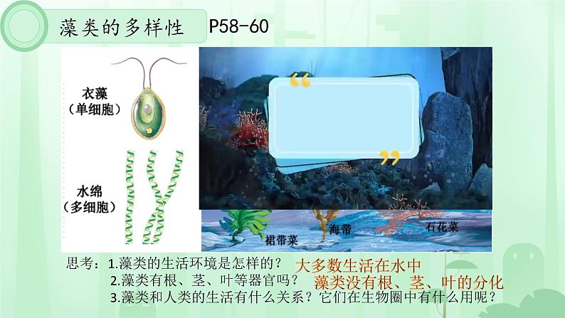 初中  生物  人教版（2024）  七年级上册（2024）  第二单元 多种多样的生物  第一章 植物的类群  第一节 藻类、 苔藓和蕨类 课件第7页