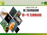 初中  生物  人教版（2024）  七年级上册  第二单元  第二章 动物的类群 第一节 无脊椎动物 课件