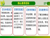初中  生物  人教版（2024）  七年级上册  第二单元  第二章 动物的类群 第一节 无脊椎动物 课件