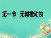 初中  生物  人教版（2024）  七年级上册  第二单元  第二章 动物的类群 第一节 无脊椎动物 课件