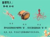 初中  生物  人教版（2024）  七年级上册  第二单元  第二章 动物的类群 第一节 无脊椎动物 课件