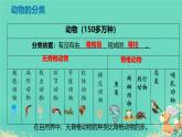 初中  生物  人教版（2024）  七年级上册  第二单元  第二章 动物的类群 第一节 无脊椎动物 课件