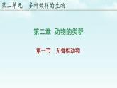 初中  生物  人教版（2024）  七年级上册  第二单元  第二章 动物的类群 第一节 无脊椎动物 课件