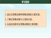 初中  生物  人教版（2024）  七年级上册  第二单元  第二章 动物的类群 第一节 无脊椎动物 课件