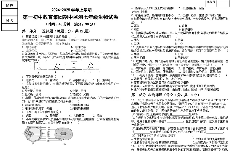 辽宁省丹东市宽甸县第一初级中学教育集团2024-2025学年七年级上学期期中监测生物试卷第1页