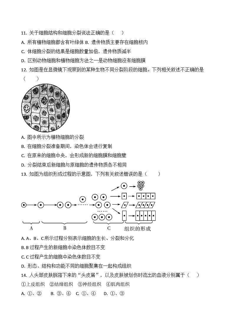 贵州省黔东南州榕江县寨蒿中学2024-2025学年度七年级上学期期中质量监测生物学试卷第3页