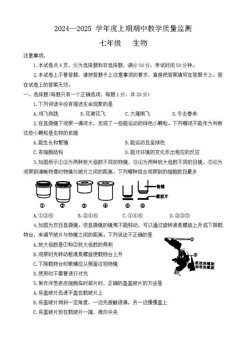 河南省信阳市固始县2024-2025学年七年级上学期11月期中考试生物试题01