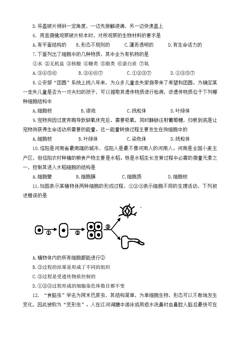 河南省信阳市固始县2024-2025学年七年级上学期11月期中考试生物试题02