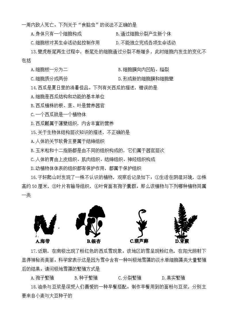 河南省信阳市固始县2024-2025学年七年级上学期11月期中考试生物试题03