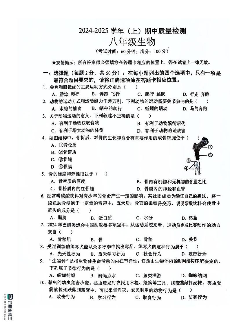 福建省南平市光泽县2024-2025学年八年级上学期期中考试生物试题第1页