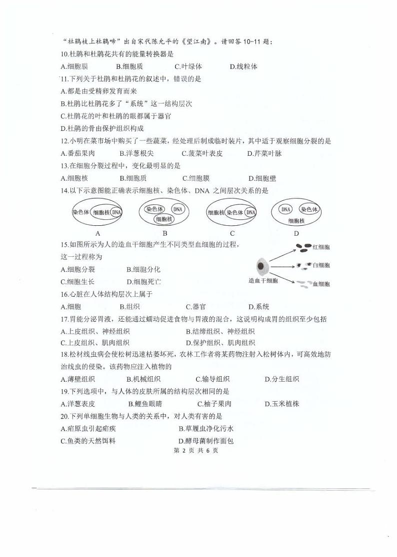 福建省福州福清市2024-2025学年七年级上学期期中考试生物试题02