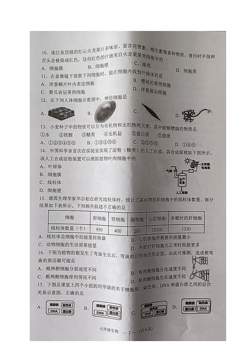 福建省福州市连江县2024-2025学年七年级上学期期中考试生物试题02