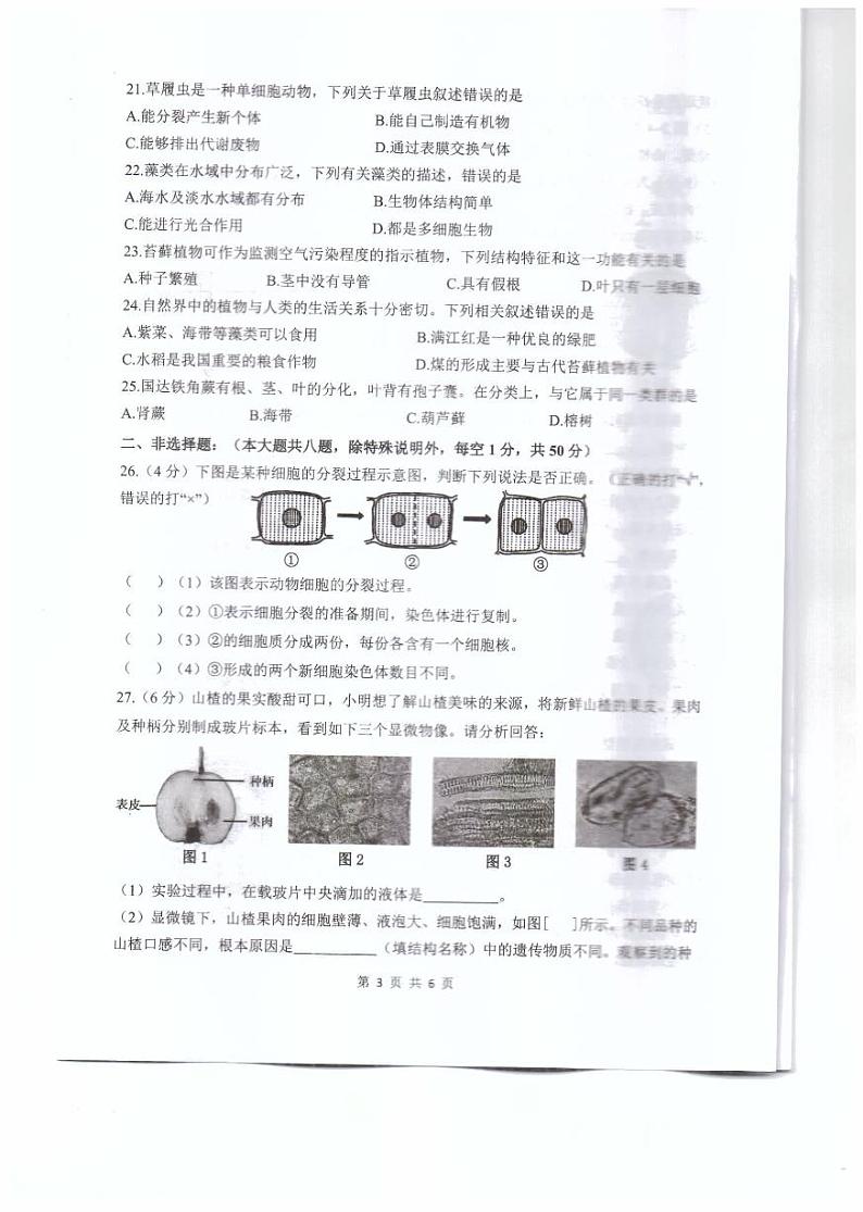 福建省福州福清市2024-2025学年七年级上学期期中考试生物试题第3页