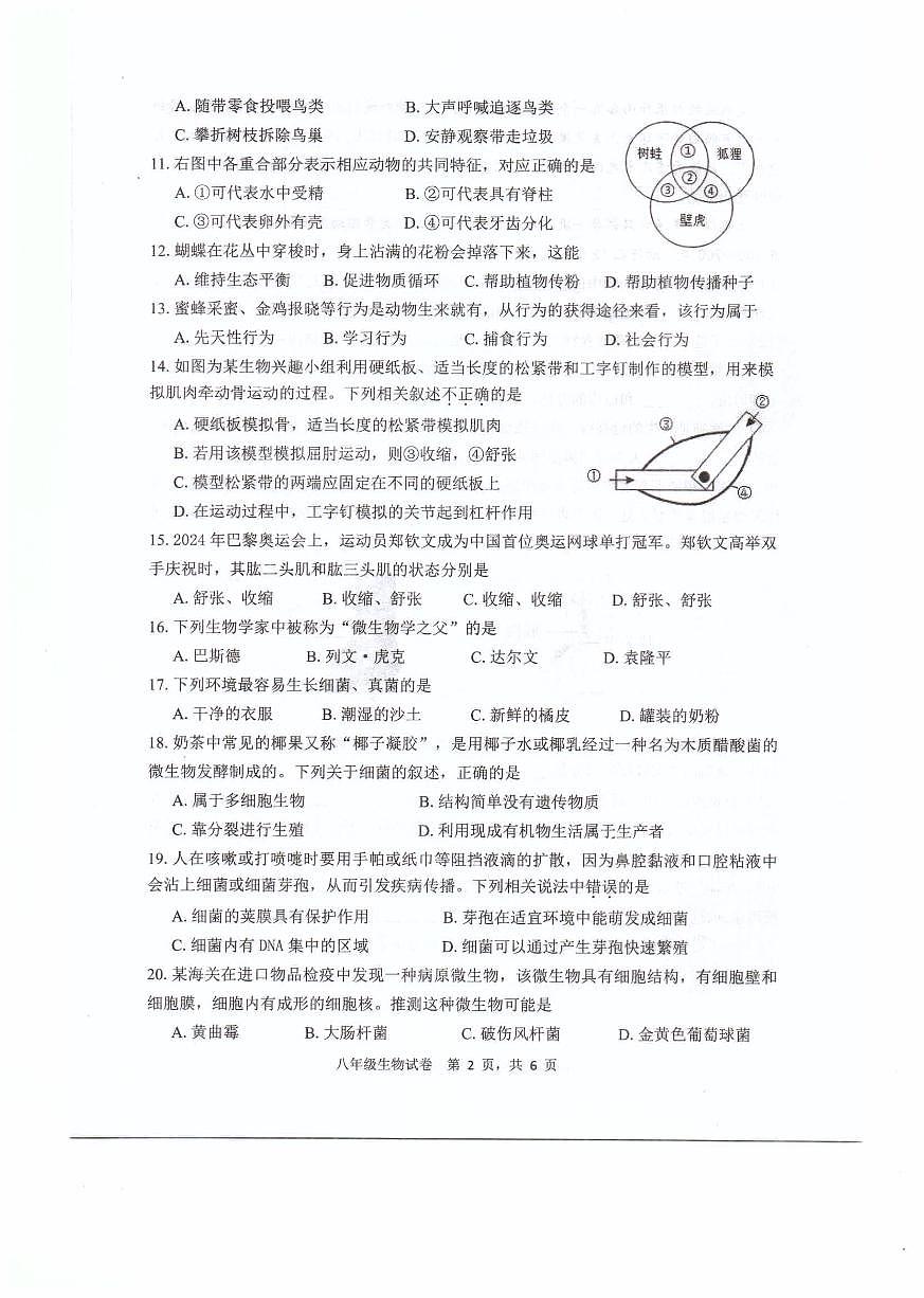 福建省福州福清市2024-2025学年八年级上学期期中考试生物试题第2页