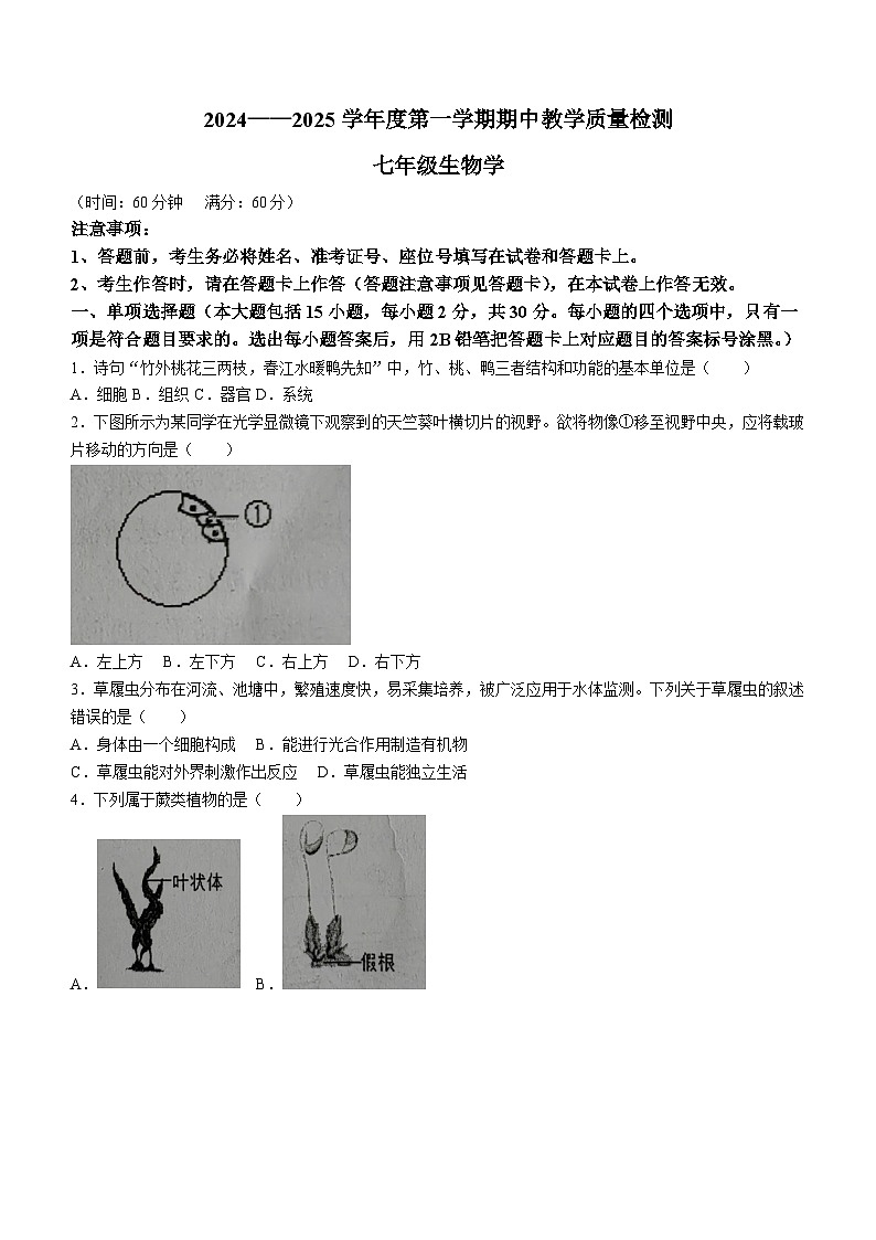 广西北海市合浦县2024-2025学年七年级上学期期中生物试题第1页