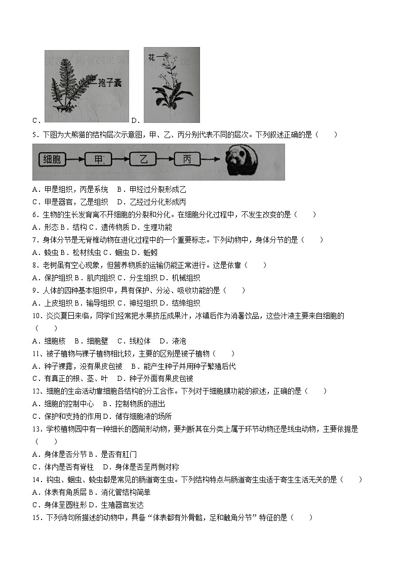 广西北海市合浦县2024-2025学年七年级上学期期中生物试题第2页