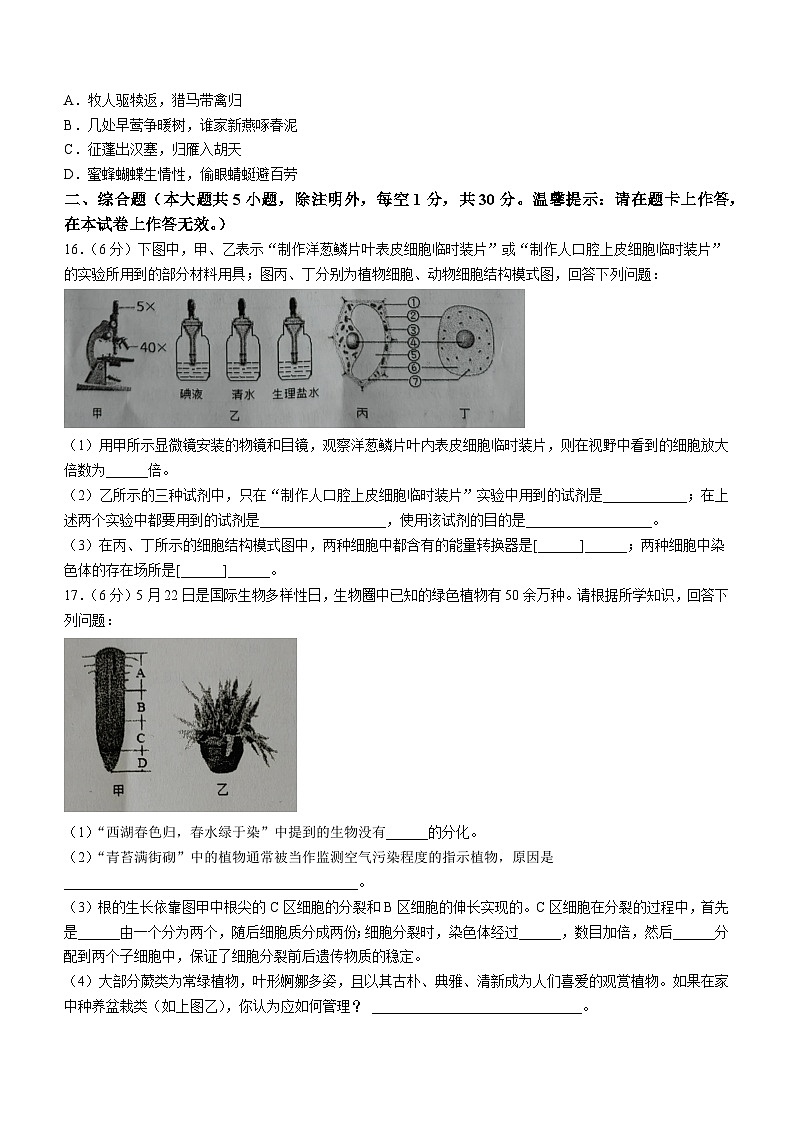 广西北海市合浦县2024-2025学年七年级上学期期中生物试题第3页