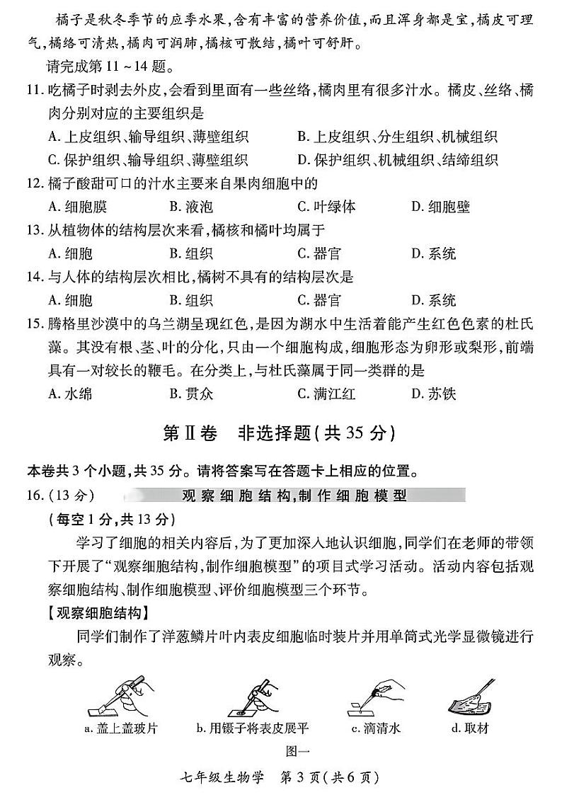 山西省运城市河津市多校2024-2025学年七年级上学期期中测试生物学试卷第3页