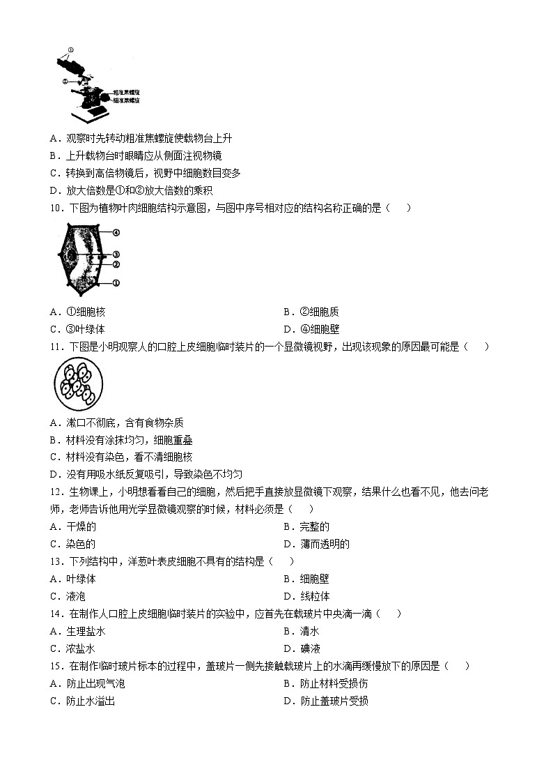广东省汕头市潮阳区多校2024-2025学年七年级上学期期中生物试题第2页