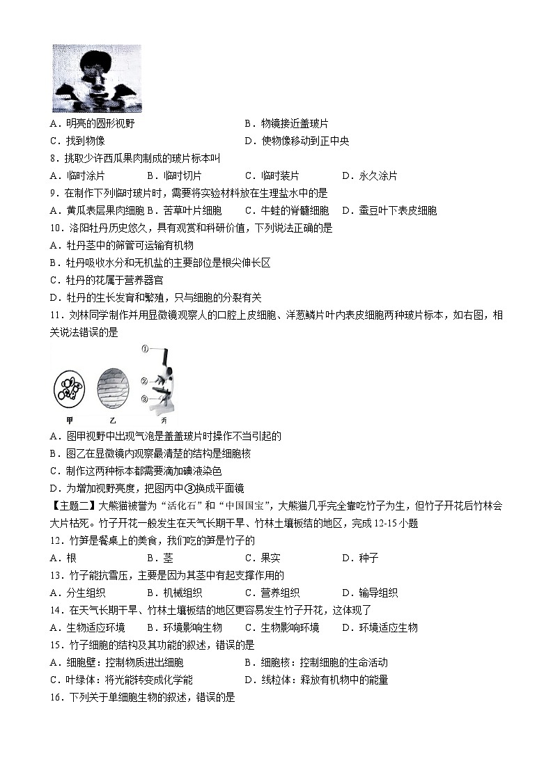 广东省揭阳市普宁市2024-2025学年九年级上学期期中生物学试题(无答案)第2页