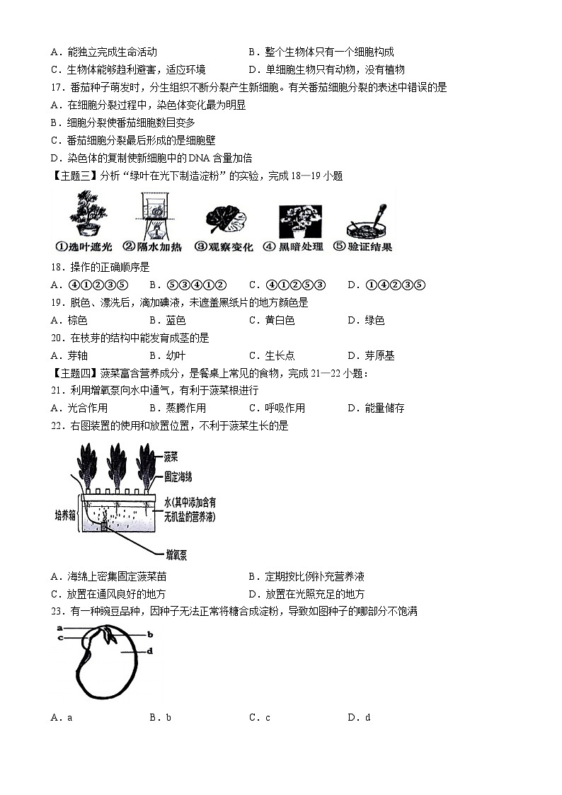 广东省揭阳市普宁市2024-2025学年九年级上学期期中生物学试题(无答案)第3页