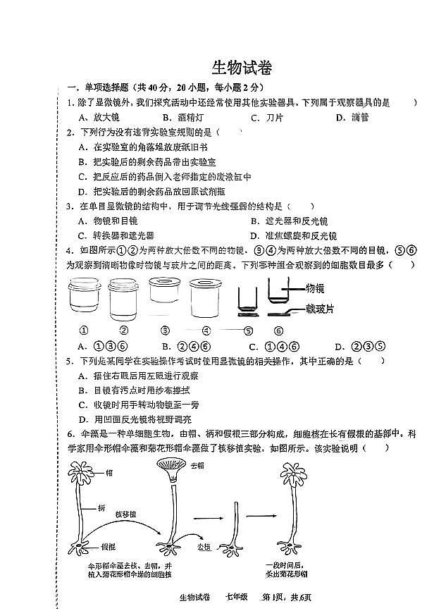 辽宁省鞍山市高新区2024-2025学年七年级上学期生物期中试卷第1页