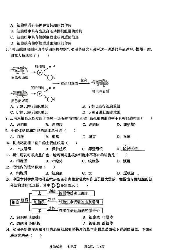 辽宁省鞍山市高新区2024-2025学年七年级上学期生物期中试卷第2页