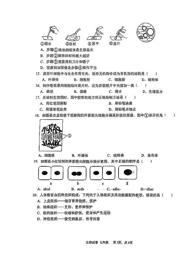 辽宁省鞍山市高新区2024-2025学年七年级上学期生物期中试卷第3页
