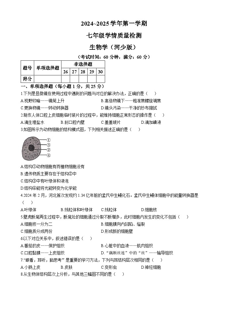河北省邯郸市馆陶县2024-2025学年七年级上学期期中生物试题第1页