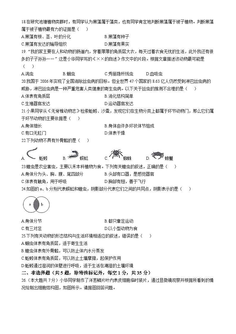 河北省邯郸市馆陶县2024-2025学年七年级上学期期中生物试题第3页