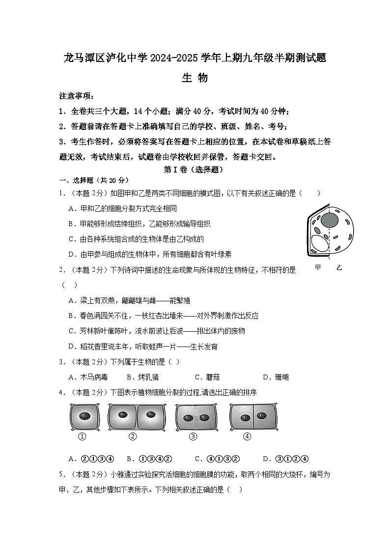 四川省泸州市龙马潭区泸化中学2024-2025学年九年级上学期11月期中生物试题第1页