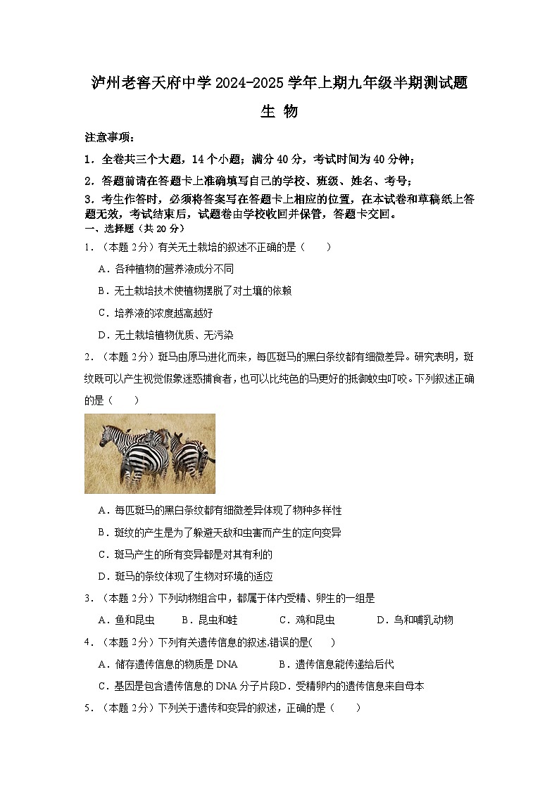 四川省泸州市泸州老窖天府中学2024-2025学年九年级上学期11月期中生物试题第1页