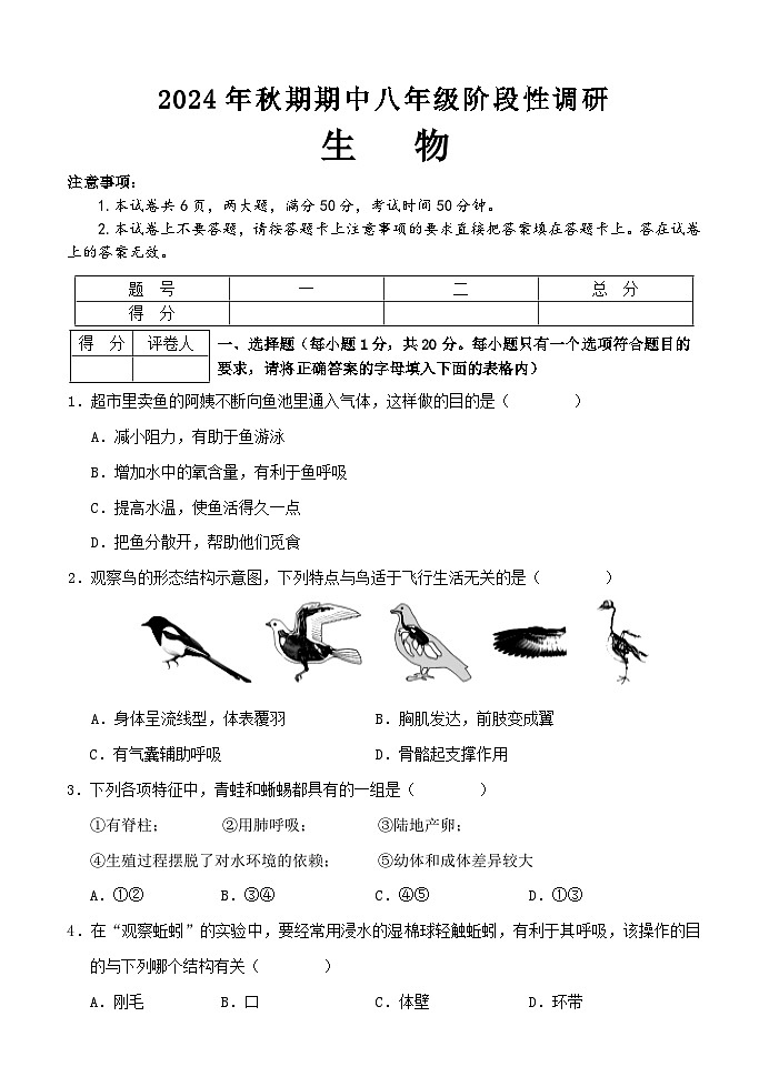 河南省南阳市淅川县2024-2025学年八年级上学期期中阶段调研生物试卷01