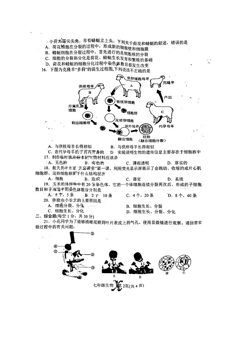 河南省南阳市内乡县2024-2025学年七年级上学期11月期中生物试题第2页