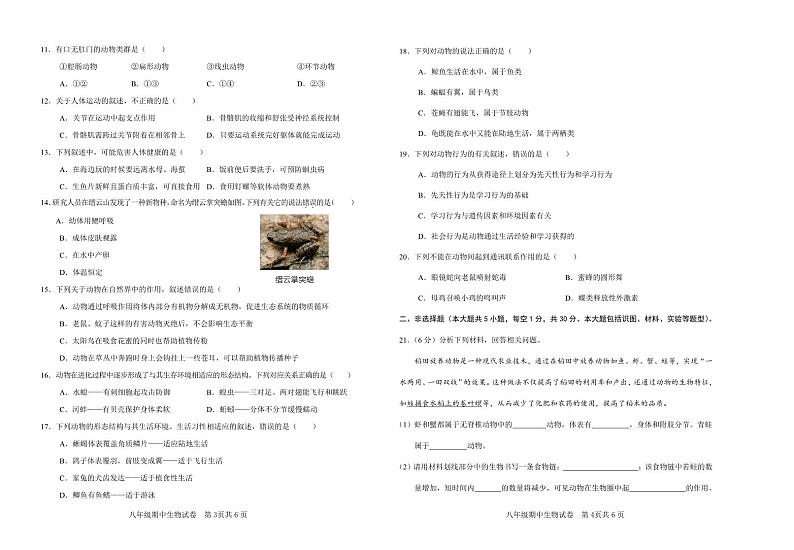 八年级生物上册期中考试第2页
