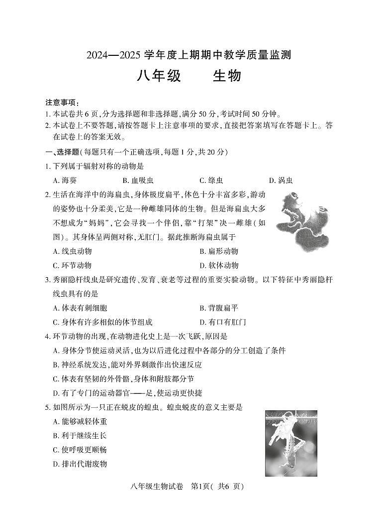 河南省信阳市潢川县2024-2025学年八年级上学期期中教学质量监测生物试题01