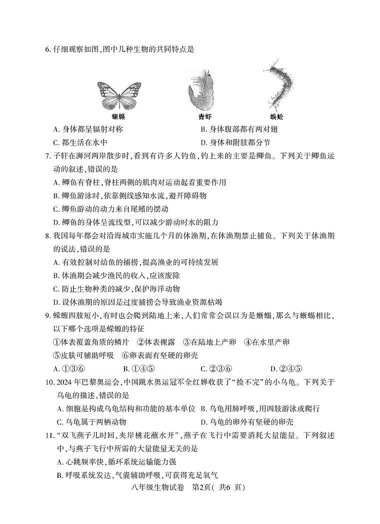 河南省信阳市潢川县2024-2025学年八年级上学期期中教学质量监测生物试题02