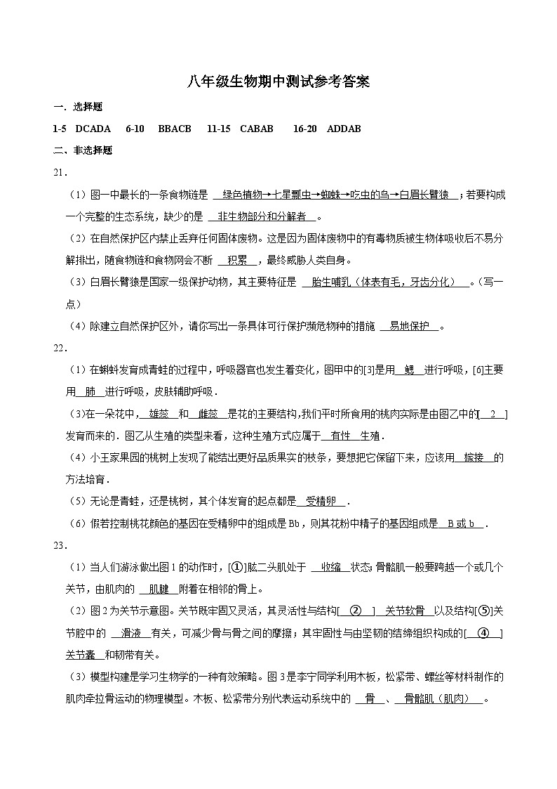 八年级生物期中测试参考答案第1页