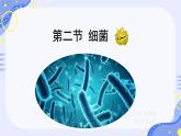 初中  生物  人教版（2024）  七年级上册  第二单元  第三章 微生物第二节 细菌 课件