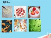 初中  生物  人教版（2024）  七年级上册  第二单元  第三章 微生物第二节 细菌 课件