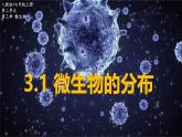 初中  生物  人教版（2024）  七年级上册  第二单元  第三章 微生物第一节 微生物的分布 课件